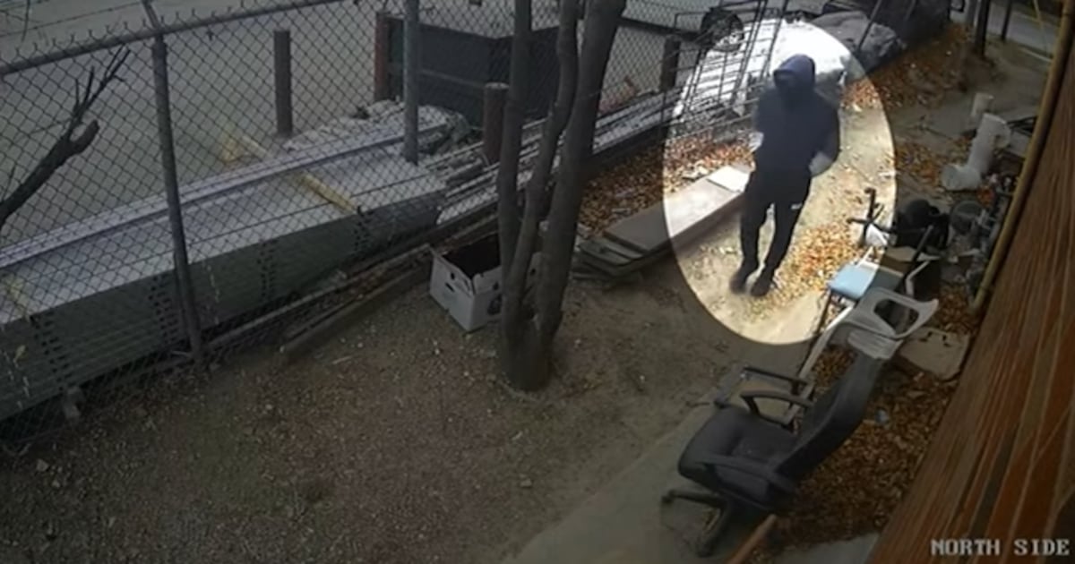 Arrest Made in 2022 Murder of Toronto Father