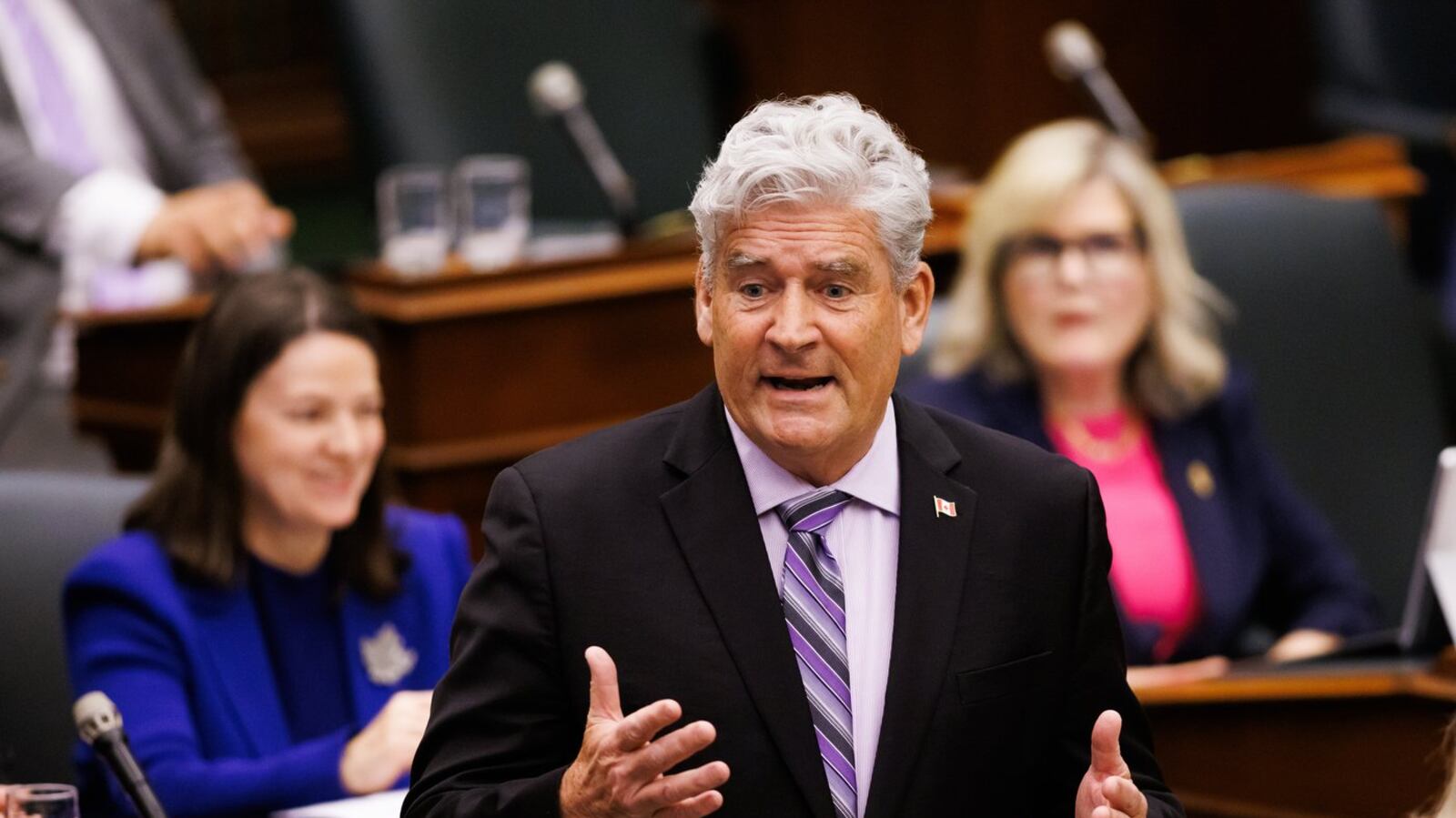 Liberal Mpps Ontario Liberal interim leader says nomination was fair
