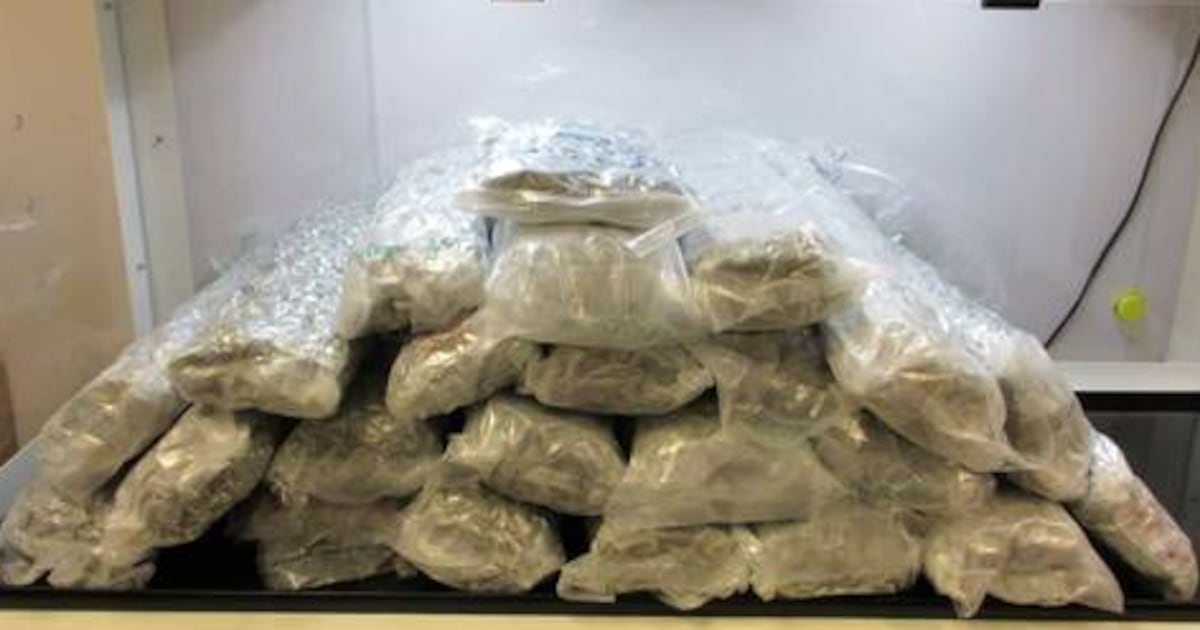 加男子企图走私31公斤大麻至伦敦希思罗