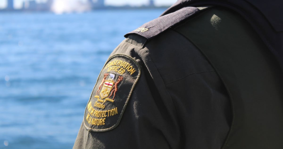 Two Ontario men fined for illegal walleye fishing, one banned for life
