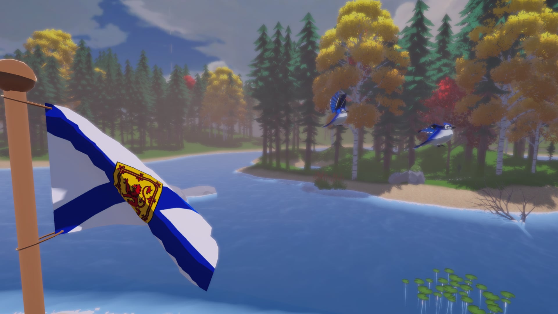 NS flag in video game