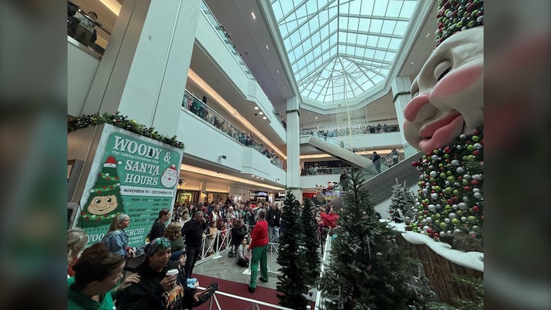 A crowd gathers at a mall in front of a large Christmas tree.