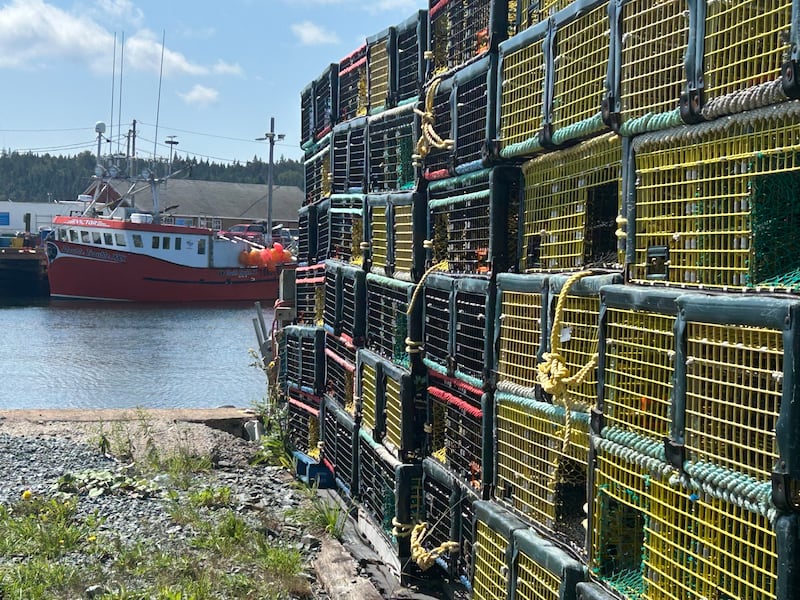 Lobster traps are pictured at Eastern Passage, N.S. (Jonathan MacInnis/CTV News Atlantic)