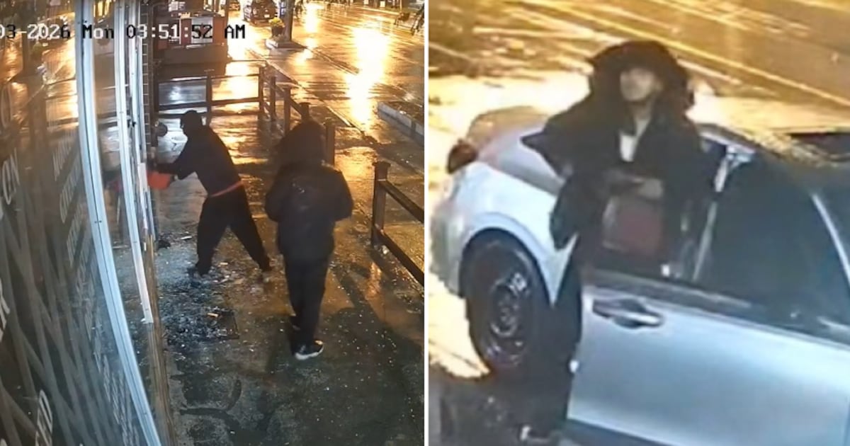 Toronto police seek two suspects in Etobicoke arson