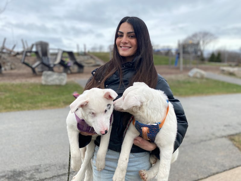 Daniela Arreola Gala holding Winter and Alaska, two blind and deaf puppies. (Vanessa Wright/CTV News Atlantic)