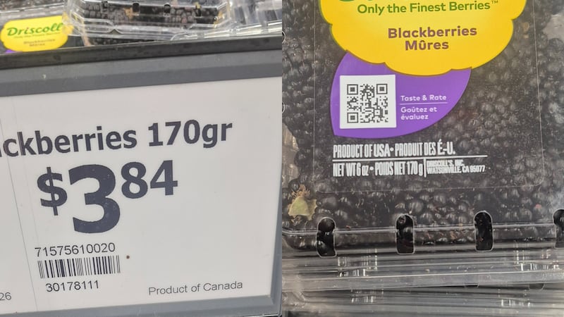 ‘It’s not right’: Ontario woman finds blackberries from the U.S. labelled as ‘Product of Canada’