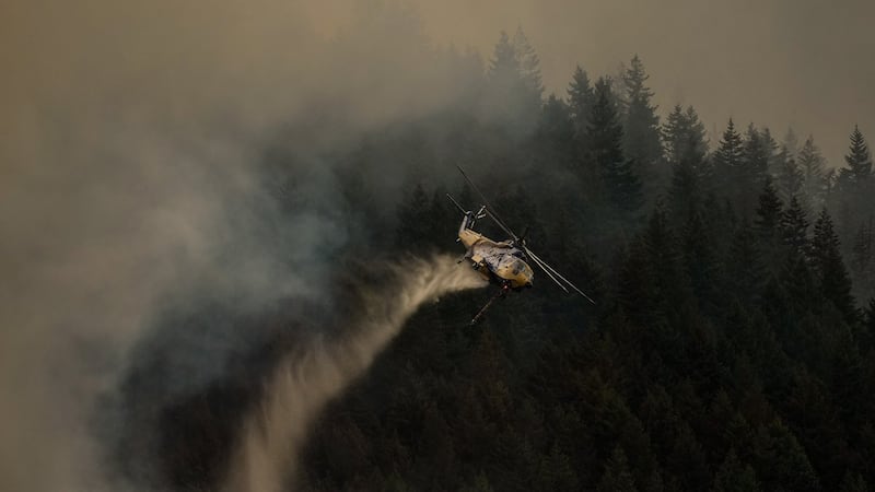At least four homes destroyed by wildfire near Boston Bar, B.C.: official