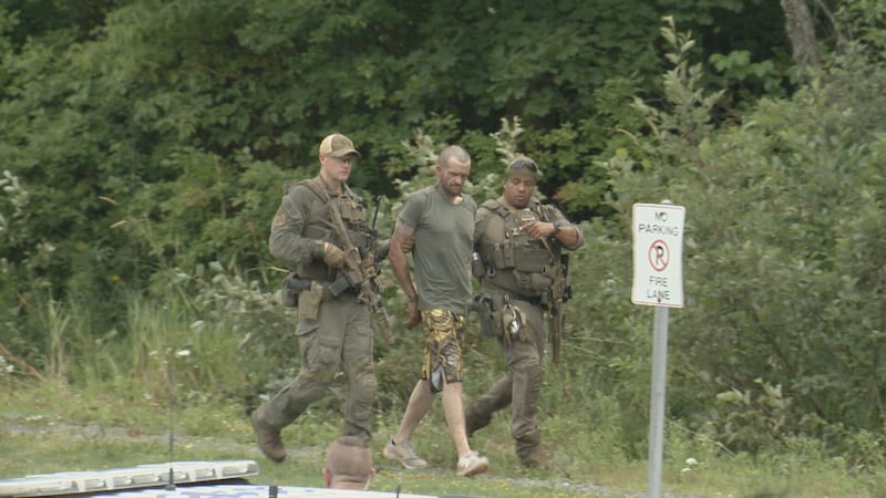 The 31-year-old suspect is seen being arrested by police in Bedford, N.S. (CTV/Valentine Nkengbeza)