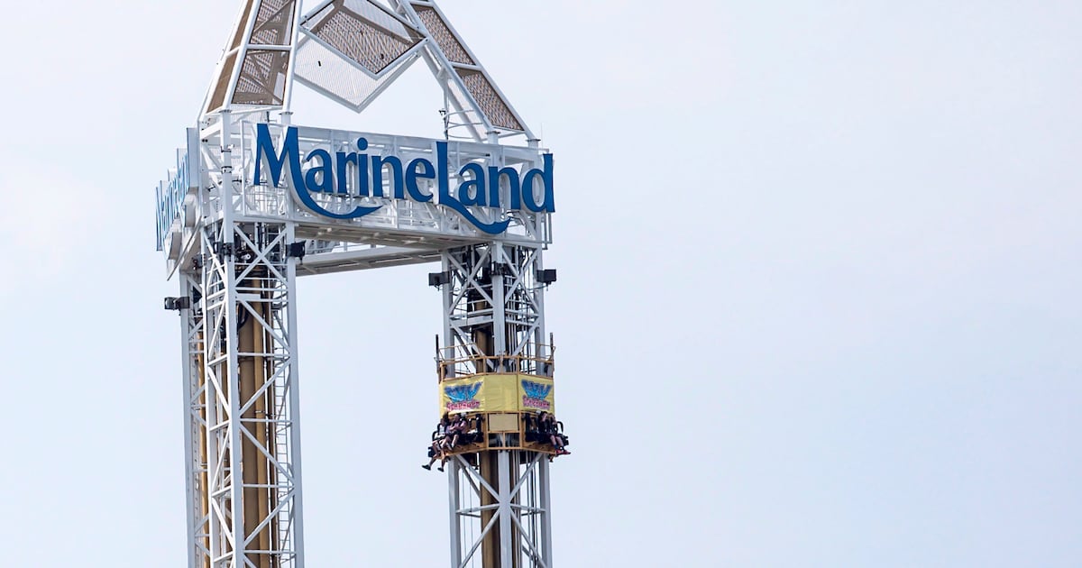 Marineland's bears on the move to sanctuary in Colorado