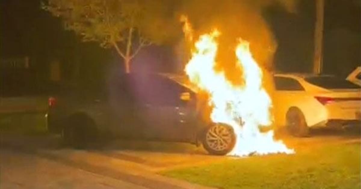 Carney condemns suspected arson at MP Salma Zahid's home