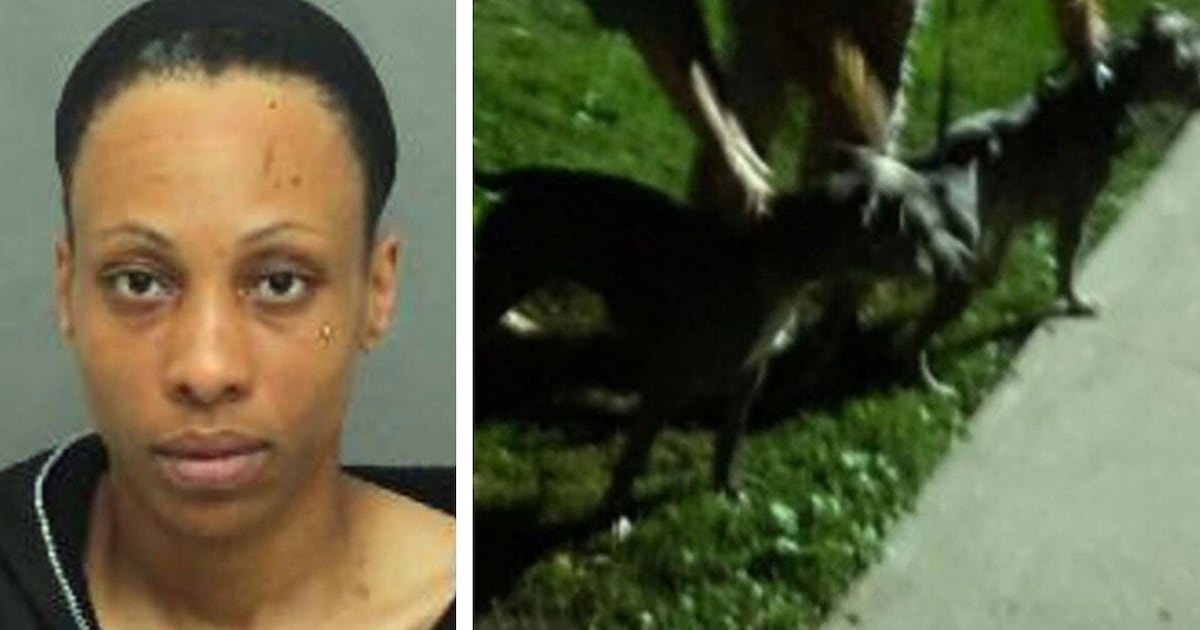 Woman Arrested in Dog Attack That Injured One Person and Critically Injured One Dog