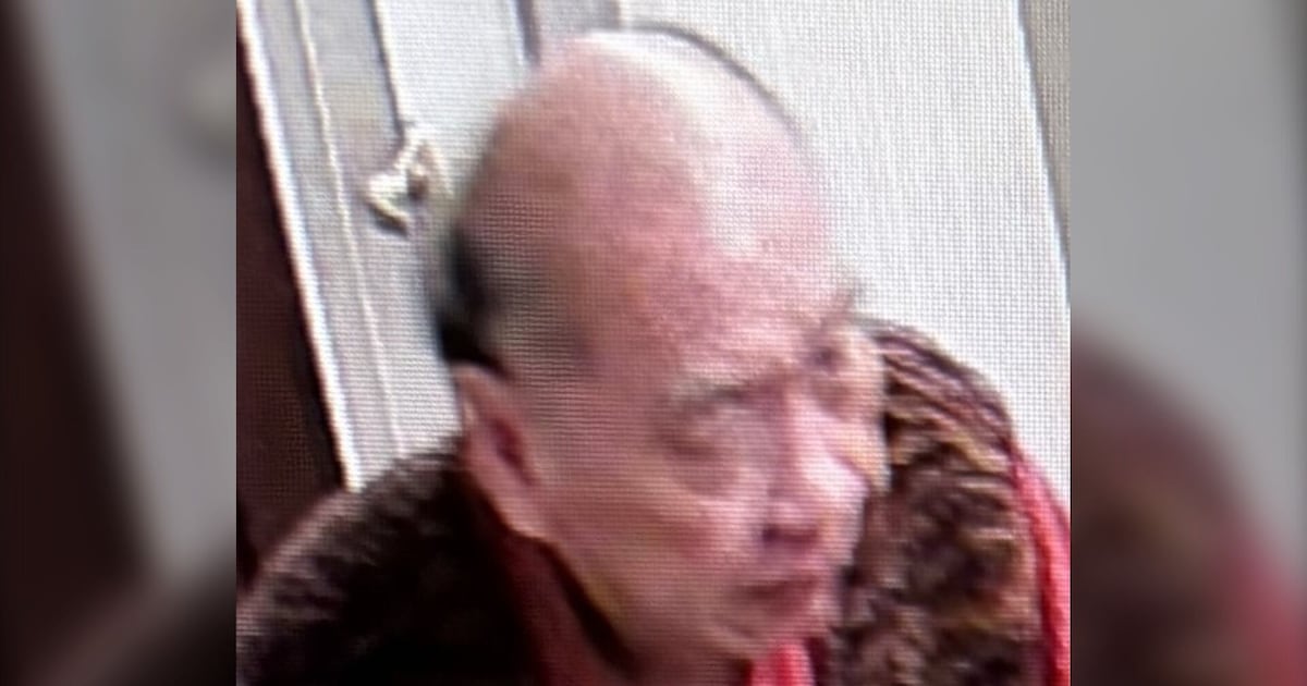 Police search for elderly man missing along the Humber River