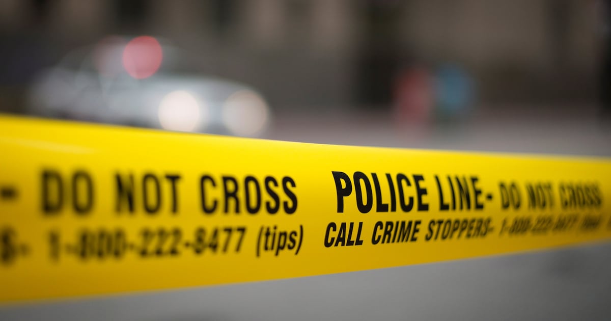 Shots fired in Scarborough