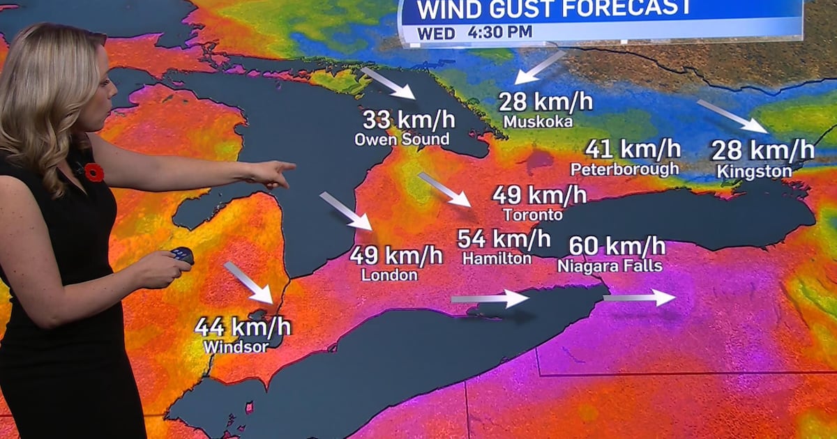 Potentially damaging 70-80 km/h winds in store for Toronto ...